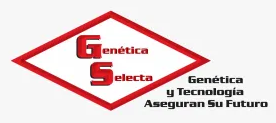 Logo Genética Selecta