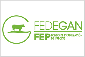 fep