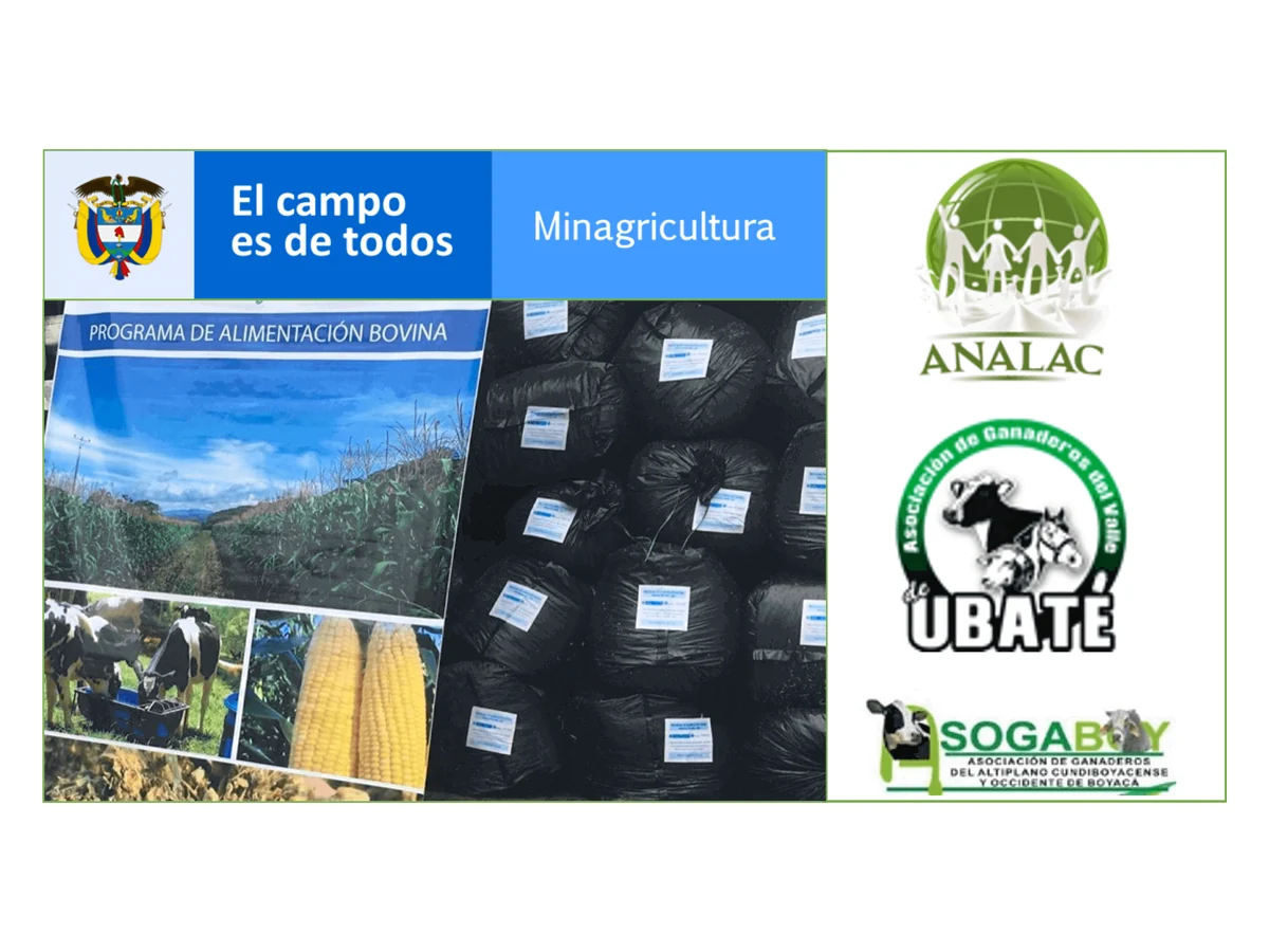 Pieza del Programa de Alimentación Bovina con fotos de silos y maíz y los logos de Minagricultura, ANALAC, la Asociación de Ganaderos del Valle de Ubaté y Sogaboy.